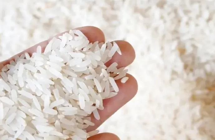 ضبط (5500) طن ارز غير صالحة للاستهلاك البشري في مستودعات شركة كبرى
