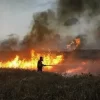 إطلاق بالونات حارقة تسببت بحرائق في مستوطنات