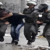 قوات الاحتلال تعتقل 3 أطفال جنوب بيت لحم و شابين..