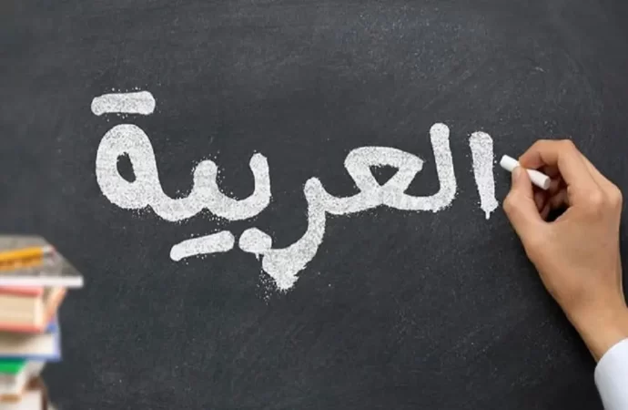 من قواعد اللغة العربية| “لا”: أنواعها وحالاتها الإعرابية