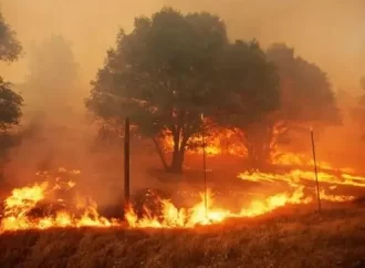 الأردن 673 حريق “الأشجار”، كيف تم التعامل معها؟