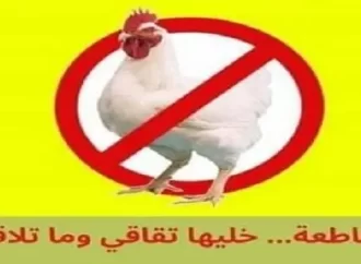 حملة شعبية لمقاطعة الدجاج في الأردن..”خليها تقاقي وما تلاقي”