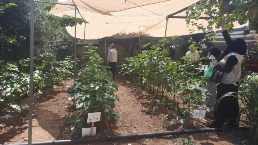 دورة منظمة الأغذية والزراعة