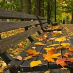 اجواء خريفية معتدلة في اغلب المناطق حتى الجمعة