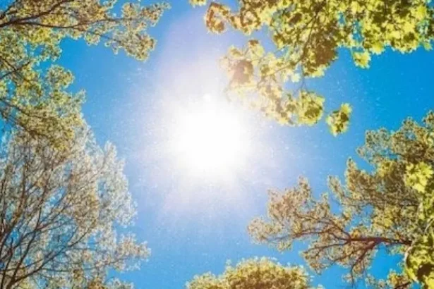 أجواء حارة نسبيًا الخميس وانخفاض قليل الجمعة