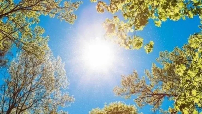 أجواء حارة نسبيًا الخميس وانخفاض قليل الجمعة