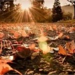 الأربعاء: أجواء خريفية معتدلة اليوم في أغلب المناطق