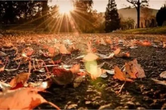 الأربعاء: أجواء خريفية معتدلة اليوم في أغلب المناطق