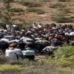 رئيس جامعة مؤتة وحشد كبير من العاملين ،يشيعون زميلهم الدكتور احمد الزعبي .