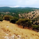 اجواء خريفيه معتدلة بالمرتفعات وحارة في باقي المناطق اليوم وغدًا