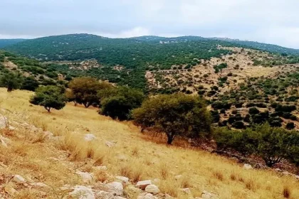 اجواء خريفيه معتدلة بالمرتفعات وحارة في باقي المناطق اليوم وغدًا