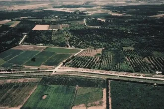 5 أعوام على استعادة الأردن أراضي الباقورة والغمر