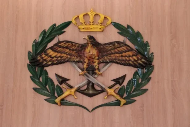 مُسيرة مجهولة المصدر سقطت بمنطقة خالية في جرش ولا إصابات