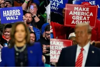 ترامب 230 هاريس 205 .. النتائج الأولية للانتخابات الأميركية (تحديث مستمر)