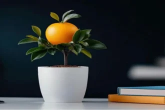 الحاقد لا يرمي سِمَه إلا بالشجرة المُثمرة