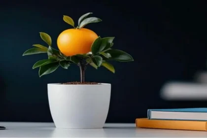 الحاقد لا يرمي سِمَه إلا بالشجرة المُثمرة