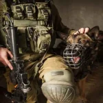 فلسطينية تروي معاناتها بعدما عضها كلب للاحتلال في غزة