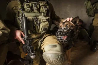 فلسطينية تروي معاناتها بعدما عضها كلب للاحتلال في غزة