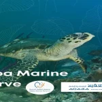 إعلان محمية العقبة البحرية  ضمن "القائمة الخضراء" للمحميات الطبيعية في الإتحاد الدولي لصون الطبيعة .