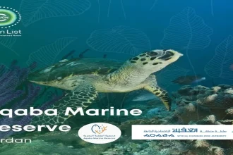 إعلان محمية العقبة البحرية  ضمن "القائمة الخضراء" للمحميات الطبيعية في الإتحاد الدولي لصون الطبيعة .