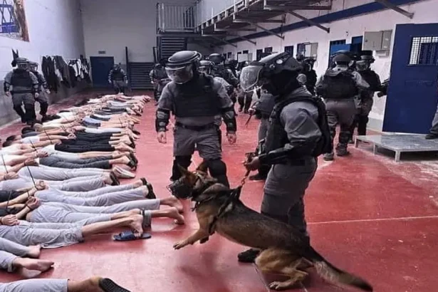 أسرى غزة يروون فصلاً جديدًا من جرائم الاحتلال  بحقهم