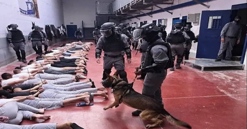 أسرى غزة يروون فصلاً جديدًا من جرائم الاحتلال  بحقهم