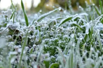 الأرصاد: أجواء باردة نسبياً مع تحذير من الصقيع في البادية صباح الثلاثاء