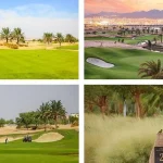 أيلة تشارك في الاحتفالات الوطنية بعيد الشجرة