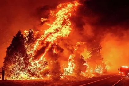 حرائق كاليفورنيا.. لوس أنجلوس المدينة «المنكوبة» والدمار يحاصر الجميع 