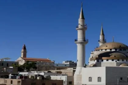 دور الجامعات والمؤسسات الأهلية في خدمة المجتمع المحلي