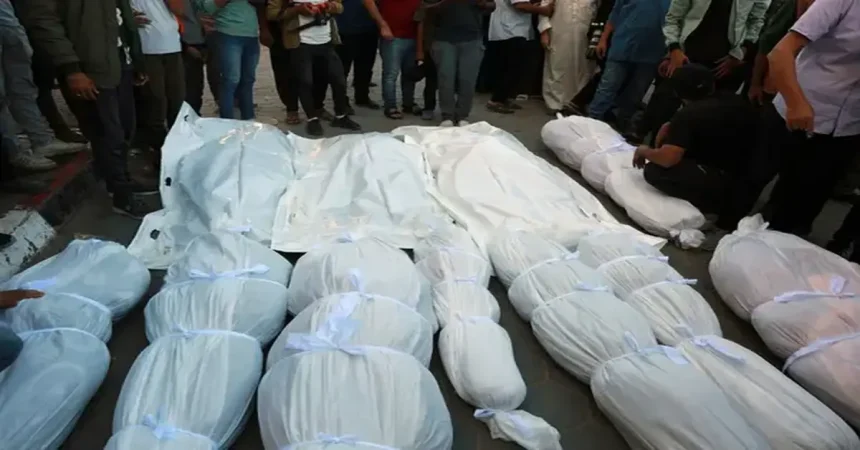 ارتفاع حصيلة عدوان الاحتلال الإسرائيلي إلى 48,239 شهيدا