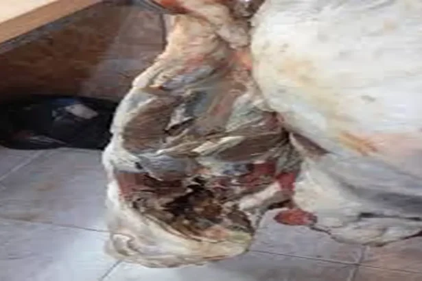 إغلاق 3 محال لبيع اللحوم في إربد