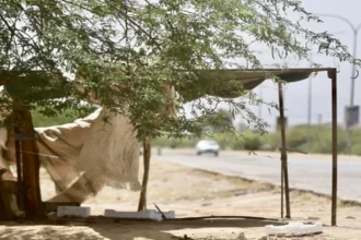 أجواء باردة اليوم وارتفاع تدريجي في درجات الحرارة غدًا