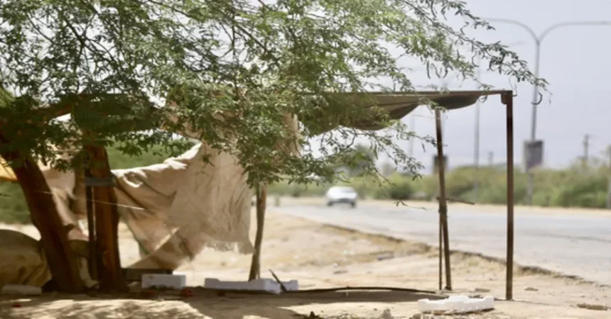 أجواء باردة اليوم وارتفاع تدريجي في درجات الحرارة غدًا