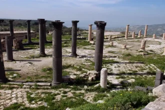 أجواء باردة نسبياً في أغلب المناطق اليوم ومعتدلة غدًا