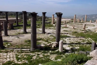 ارتفاع تدريجي على درجات الحرارة واجواء ربيعية دافئة اعتبارًا من يوم غد الاثنين 