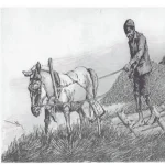 الجورعة... وانتهاء رقصة البيادر