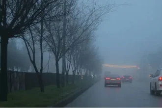 طقس بارد و هطل زخات في الشمال والوسط