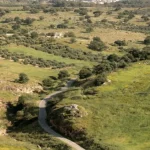 الأرصاد الجوية: طقس دافئ يميل إلى الحرارة خلال عطلة نهاية الأسبوع