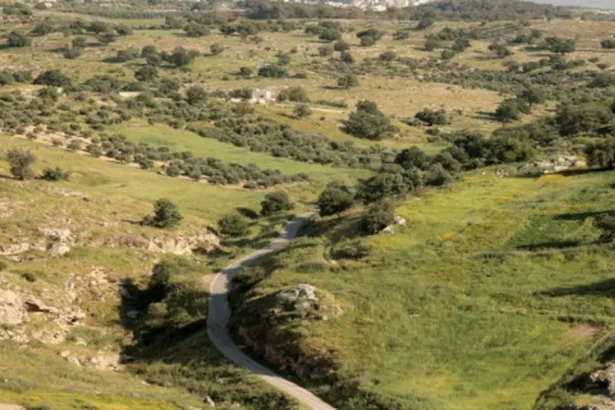 الأرصاد الجوية: طقس دافئ يميل إلى الحرارة خلال عطلة نهاية الأسبوع