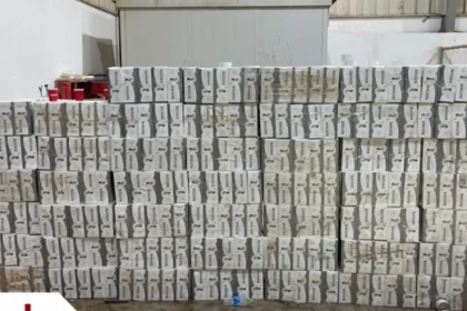 الجمارك تحبط تهريب الفين و400 كروز دخان ببراد شحن