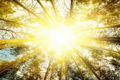 أجواء حارة الجمعة والسبت وتنبيه من التعرض للشمس