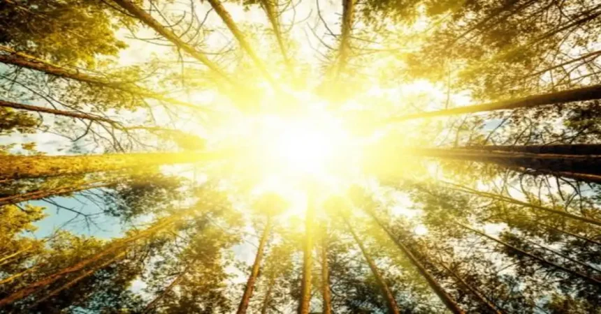 أجواء حارة الجمعة والسبت وتنبيه من التعرض للشمس