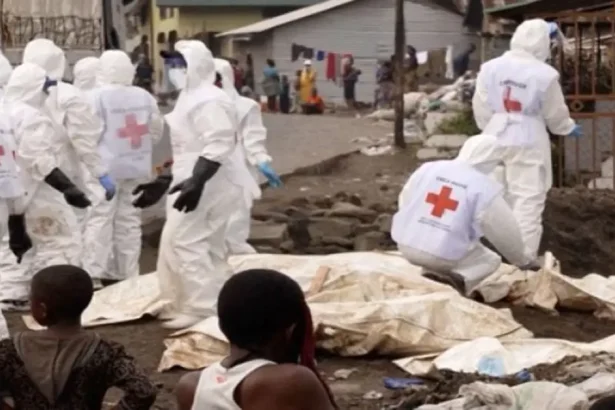 ترامب يروج لمزاعم كاذبة عن إبادة جماعية للبيض بجنوب أفريقيا – رويترز تكشف الحقيقة