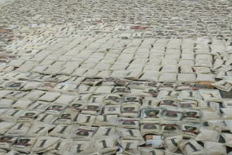 الجيش يحبط محاولة تهريب مخدرات وتسلل من الأراضي السورية.