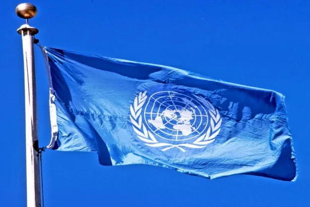 مفوض أممي يطالب بالضغط على الاحتلال لإيقاف المجازر في غزة