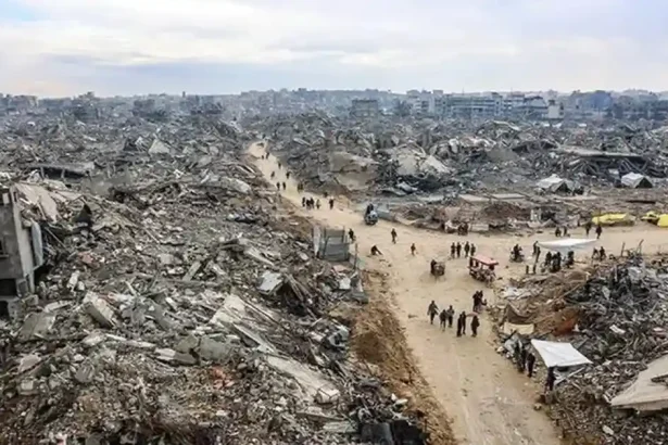 تقرير حقوقي: الاحتلال دمر 93% من الأراضي الزراعية في قطاع غزة