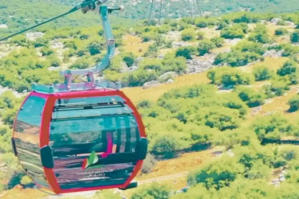 مهرجان "صيف تلفريك عجلون 2025" يسجل إقبالاً جماهيرياً لافتاً في أيامه الأولى