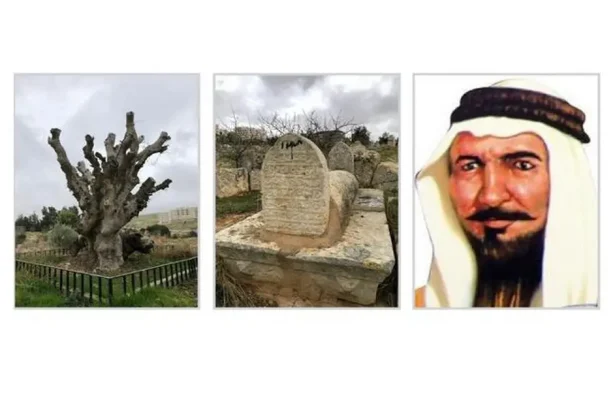 الشاعر نمر بن عدوان