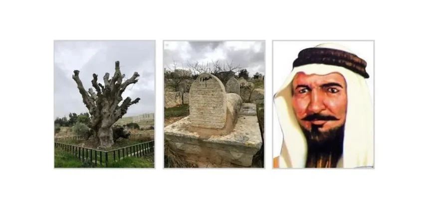 الشاعر نمر بن عدوان